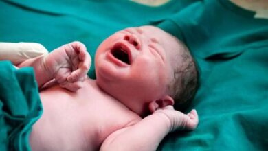 ثبت بیش از 6000 تولد در شش ماه اول امسال ؛ آمار متعدد تولد - آژانس خبری مهر | اخبار ایرانی و جهانی