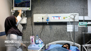 دانشجویان پرستاری می توانند بعد از ترم 2 کار کنند - آژانس خبری مهر | اخبار ایرانی و جهانی