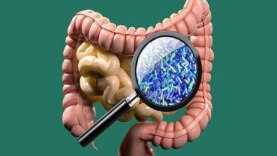 این باکتری‌های دهانی می‌توانند مغز را از بین ببرند