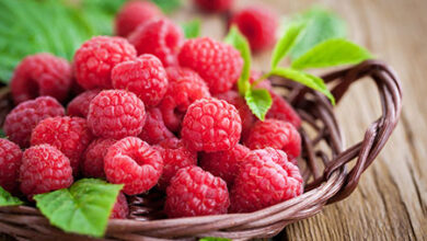 خصوصیات تمشک