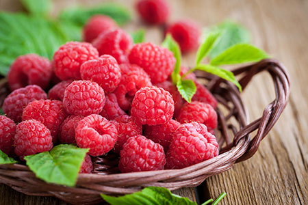 خصوصیات تمشک