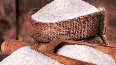 شیرینی ممکن است باعث بلوغ زودرس شود - آژانس خبری مهر | اخبار ایرانی و جهانی