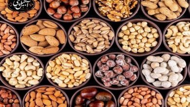 غذاهای برای ماندن در مغز جوان - آژانس خبری مهر | اخبار ایرانی و جهانی