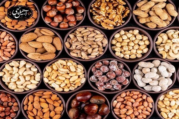 غذاهای برای ماندن در مغز جوان - آژانس خبری مهر | اخبار ایرانی و جهانی