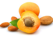 مضرات و خصوصیات هسته زردآلو