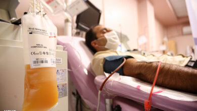 درمان 2 نوع بیماری خون با تولید داروهای پلاسما - آژانس خبری MEHR | اخبار ایرانی و جهانی