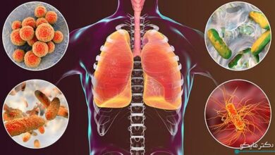 اعلام نتایج یک مطالعه جدید و مهم در مورد قالب خانگی