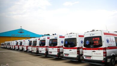 آمادگی 118 بیمارستان در مناطق مرزی برای خدمت‌رسانی در اربعین