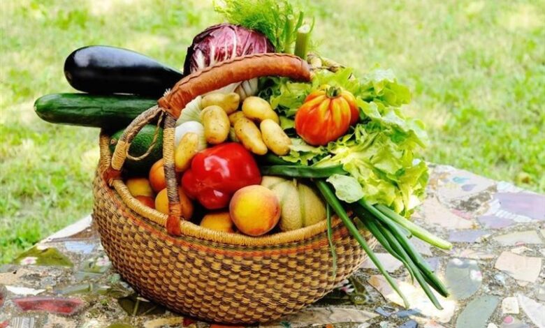 خطر آلودگی سبزیجات به مدفوع سگ و گربه/ هشدار به مصرف لبنیات غیرپاستوریزه