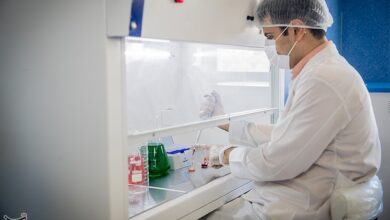 سلامت فرآورده‌های غذایی چگونه کنترل می‌شود؟