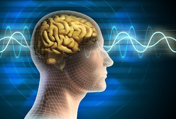 افزایش خطر مرگ و آلزایمر در افراد مبتلا به مغز قدیمی - آژانس خبری مهر | اخبار ایرانی و جهانی