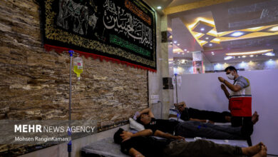 استقرار کامل کلینیک های آل -هسین در نجف به کربلا - آژانس خبری مهر | اخبار ایرانی و جهانی