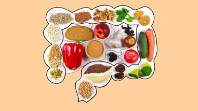 تأثیر رژیم غذایی بالا بر سلامت سیستم ایمنی روده