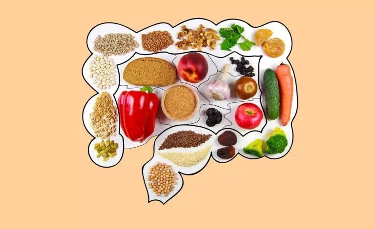 تأثیر رژیم غذایی بالا بر سلامت سیستم ایمنی روده