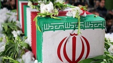 جشن "شهدای بهداشت و نجات دفاع ملی" - آژانس خبری مهر | اخبار ایرانی و جهانی
