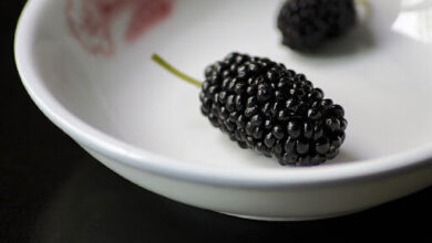 این میوه -میوه غنی برای زنان مفید است