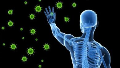 مصرف این گیاه سیستم ایمنی بدن را تقویت می کند