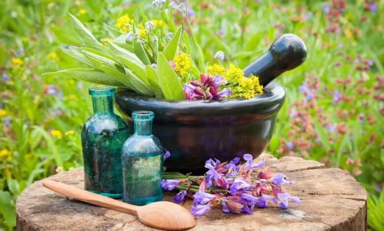 چند باور غلط در مورد مصرف داروهای گیاهی
