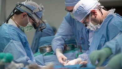 جراحی موفقیت آمیز تومور جمجمه بدون لک - آژانس خبری مهر | اخبار ایرانی و جهانی