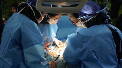 تولد طبیعی خرد شده ، تجربه ایمن و شاد برای مادران - آژانس خبری مهر | اخبار ایرانی و جهانی