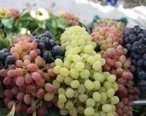 خواص معجزه آسای این میوه بهشت برای سلامت قلب و مغز
