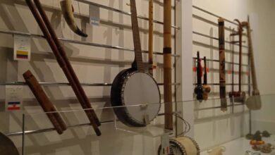 استراتژی جذاب برای حفظ آگاهی مغز در پیری - آژانس خبری مهر | اخبار ایرانی و جهانی