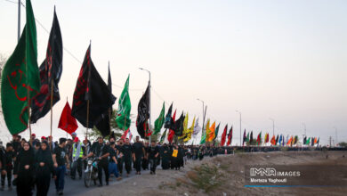 نسخه طب سنتی برای حفظ سلامت زائران arbaeen