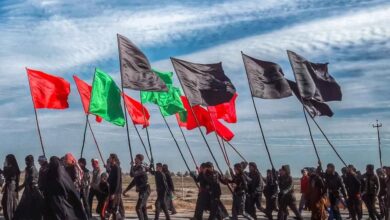 حضور مؤسسه پاستور در خط مقدم نظارت بر سلامت زائران Arbaeen - آژانس خبری مهر | اخبار ایرانی و جهانی