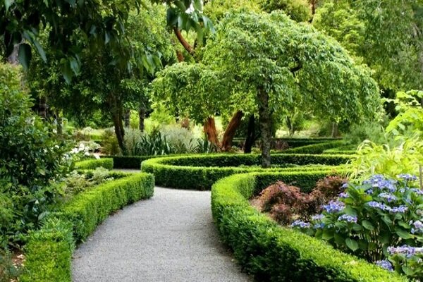 حضور در فضاهای سبز باعث رشد مغز کودکان بهتر می شود - آژانس خبری مهر | اخبار ایرانی و جهانی