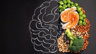 تغذیه سالم در سن 5 سالگی به تقویت مغز کمک می کند - آژانس خبری مهر | اخبار ایرانی و جهانی