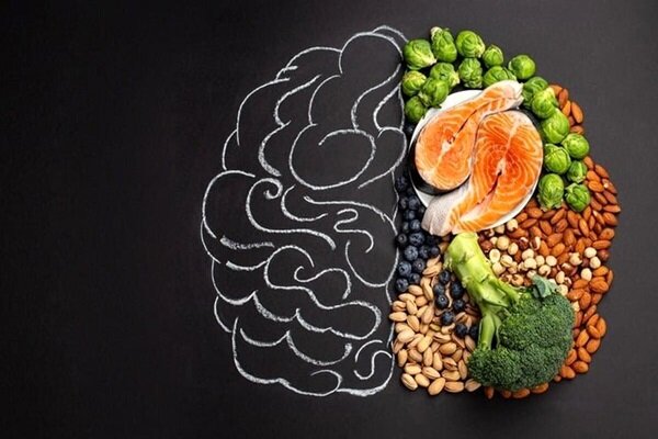 تغذیه سالم در سن 5 سالگی به تقویت مغز کمک می کند - آژانس خبری مهر | اخبار ایرانی و جهانی