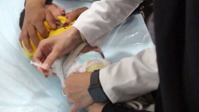 مؤثرترین راه برای جلوگیری از آهنگران - آژانس خبری مهر | اخبار ایرانی و جهانی