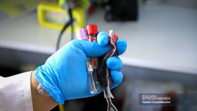 رشد بیش از 5 ٪ از اهدای خون زنان در شش ماه اول سال جاری