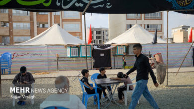 پشتیبانی دارویی از بنیاد برکت برای 2 درمان فعلی Arbaeen