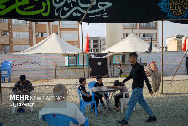 پشتیبانی دارویی از بنیاد برکت برای 2 درمان فعلی Arbaeen