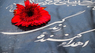 مرگ مغزی پایان نیست ؛ آغاز زندگی 2 تازه است - آژانس خبری مهر | اخبار ایرانی و جهانی