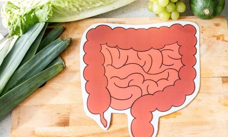 عادت طلایی برای داشتن یک روده سالم