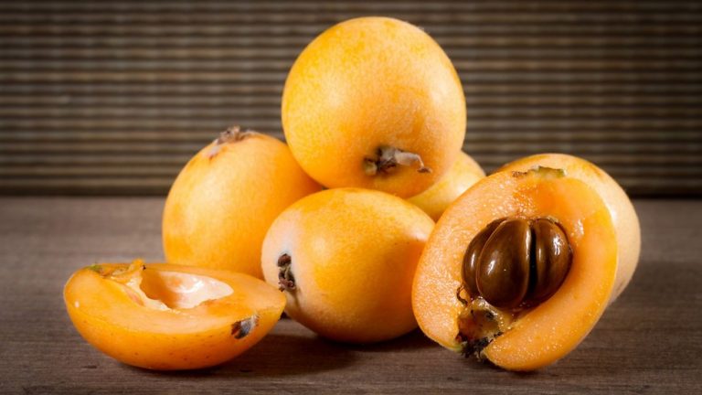 خواص و مضرات جوانه ، مربا ، کیک و ترشی