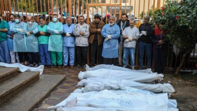 این تب در طی یک ماه از مرگ/ 2 قربانیان راضی است