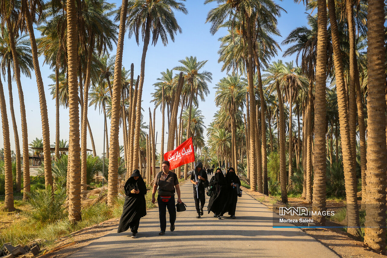 نسخه طبیعت برای ترمیم بدن و زندگی پس از پیاده روی Arbaeen