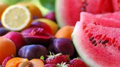 فرار از گرما برای مصرف این غذاهای خوشمزه