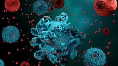 این غذاها سرطان زا هستند - اخبار آنلاین