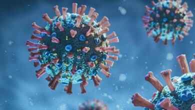 آزمایش کرونا برخی از زائران arbaeen مثبت