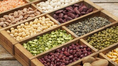 آیا برای سالمندان مضر است؟