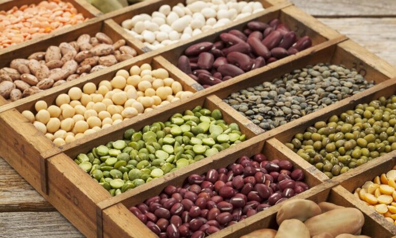 آیا برای سالمندان مضر است؟