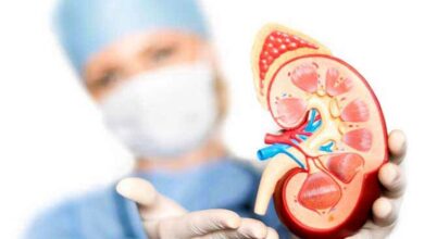 غذاهای مفید برای بهبود سلامت کلیه