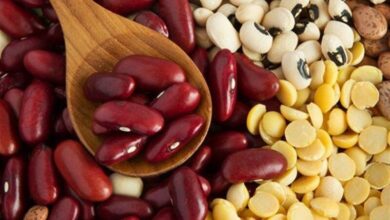 آیا برای سالمندان مضر است؟