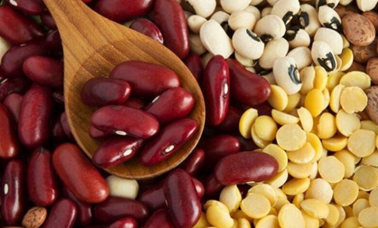 آیا برای سالمندان مضر است؟