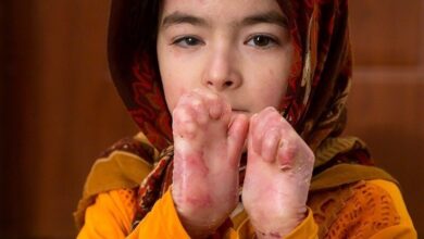 تجدید تحویل تحویل تحویل - آژانس خبری مهر | اخبار ایرانی و جهانی