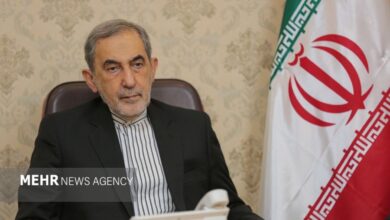 استانی: پزشکان از ملت بزرگ ایران پشتیبانی می کنند - خبرگزاری مهر | اخبار ایران و جهان